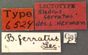 Media type: image;   Entomology 6524 Aspect: labels